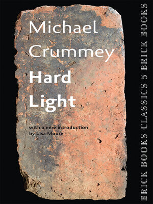 Hard Light - ebook